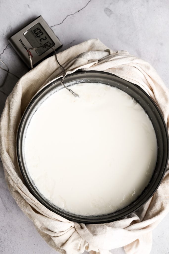 粘稠的奶油自制酸奶很容易在家制作，只需要两种材料，一个沉重的罐子，只需要几分钟的实际手工准备工作。| aheadofthyme.com